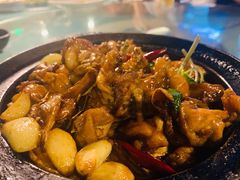 三杯鸡-C31地窖餐厅(黑龙江北路店)