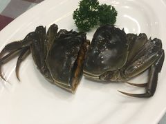 太湖醉蟹-钱塘花园·宁波菜