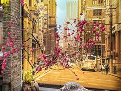 -老伙记海鲜码头(北滘店)