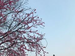 -魏家凉皮(博水商务大厦店)