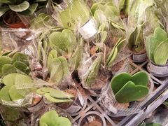 -宜家家居(高新商场店)