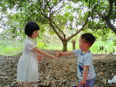 -塘栖枇杷特色园区