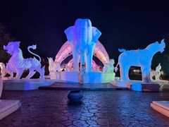 -清迈夜间动物园