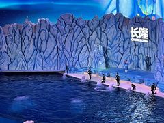-珠海长隆海洋王国