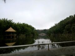 -广东茂名森林公园