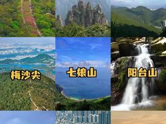 -阳台山森林公园