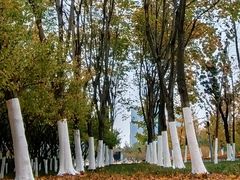 -天鹅湖体育公园