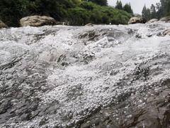 -芦沟竹海