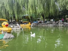 -团结湖公园