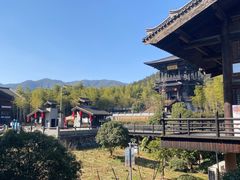 -大唐贡茶院