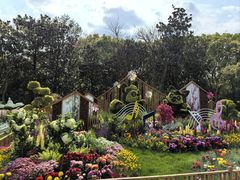 -上海共青森林公园