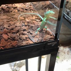 -Zoolung Zoolung动物主题公园(海信广场店)