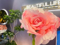 -花隐·美芙炫海菲秀皮肤管理中心