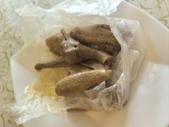-百利鸽王(紫薇路店)
