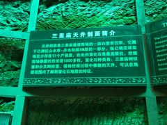 -中国西峡恐龙遗迹园