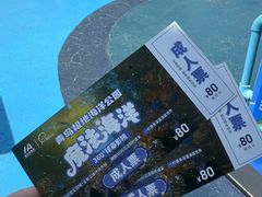 -海合安青岛极地海洋公园