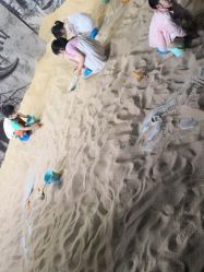 -恐龙探索乐园(磁器口店)