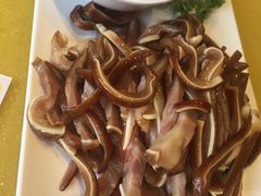 -赶海部落海鲜城(海阳路店)