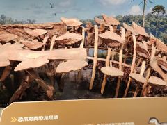 -浙江自然博物院(杭州馆)