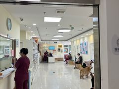 -美联众合动物医院·24h京西诊疗中心