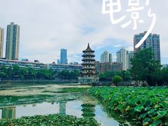 -宝岛公园