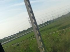 -潍坊站