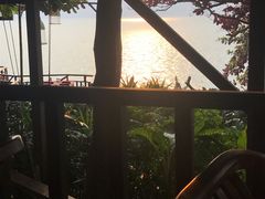 -卷心菜和避孕套餐厅(Pattaya)