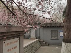 -桃花堤公园