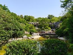 -吴淞炮台湾湿地森林公园烧烤区