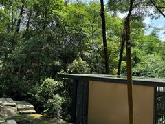 -黄埔油麻山森林公园