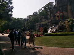 -金鸡山公园