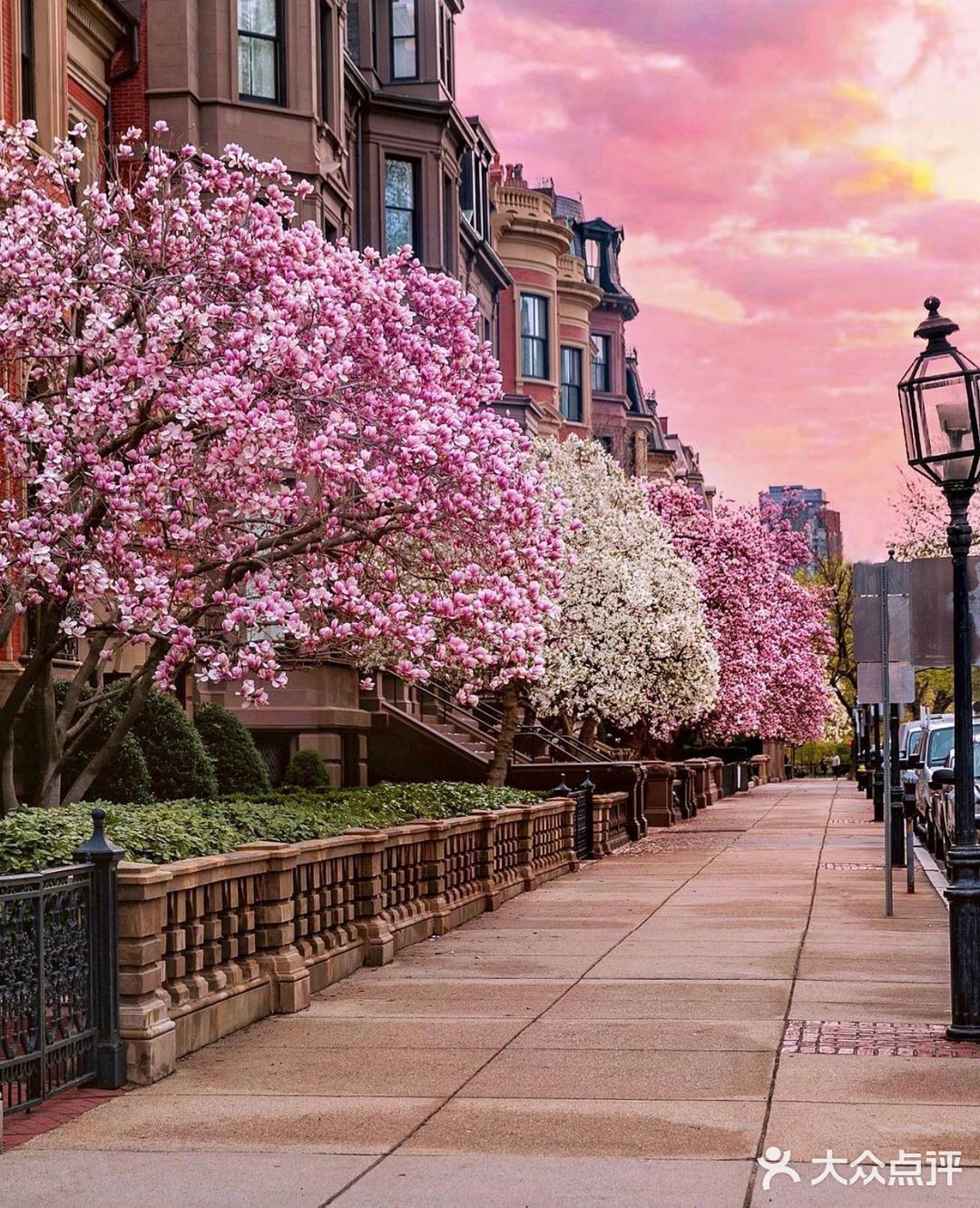 美国9694|波士顿的春天如此漂亮