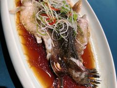 -荷风细雨·中国茶宴(碧云店)