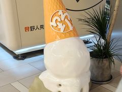 -野人先生现做冰淇淋(北京环宇荟店)