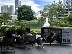 -SAANCI山池咖啡(海上世界文化艺术中心店)