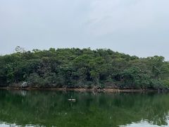 -广州莲花山旅游区