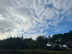 -苏州太湖湖滨国家湿地公园