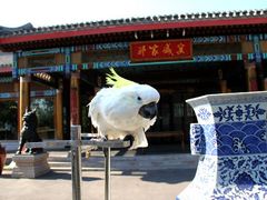 -那家小馆•北京菜•烤鸭(香山店)