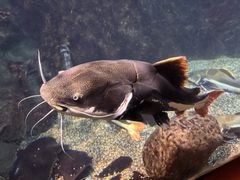 -太平洋海底世界