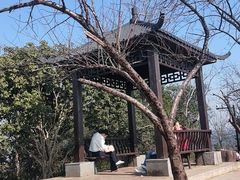 -桃花岭景区