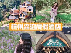 -杭州开元森泊度假乐园