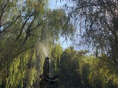 -竹泉村旅游度假区