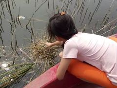 -白洋淀景区