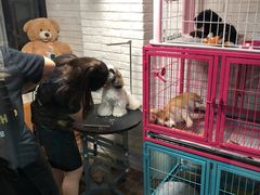 -Goku PET SHOP宠物视觉生活馆(双井店)