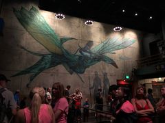 -奥兰多迪士尼动物王国乐园