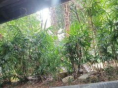 -融汇温泉