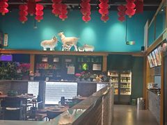 -大白羊蝎子馆(后沙峪山姆店)