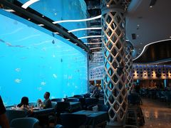 -瑞德姆美人鱼海底演艺主题餐厅(亚龙湾店)