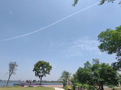-鹅湖玫瑰文化园