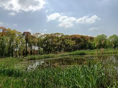 -同里国家湿地公园